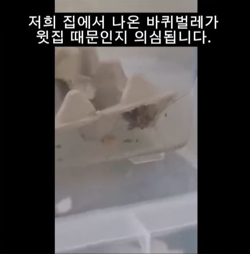 [서울=뉴시스] 아파트 공용 복도에 놓인 벌레 사육 상자를 둘러싸고 주민 간 갈등이 불거진 가운데, 영상 속 벌레의 정체를 두고도 누리꾼들 사이에서 논란이 일고 있다. (사진='bobaedream' 스레드 계정 캡처)