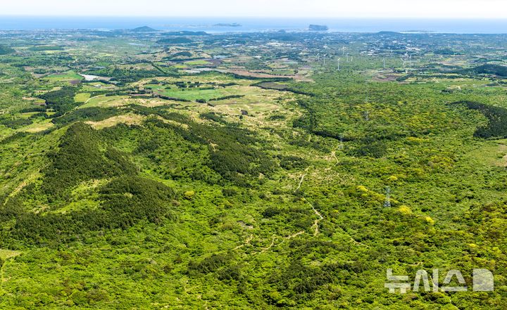 [제주=뉴시스] 임재영 기자 = 지난 9일 하늘에서 바라본 동검은이오름과 성산곶자왈. 2026.05.24. ijy788@newsis.com