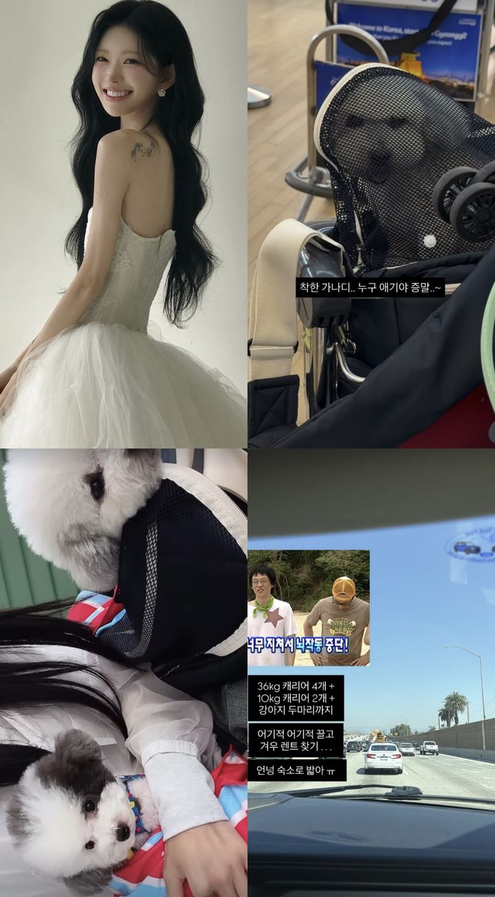 [서울=뉴시스]최준희(사진=SNS 캡처) 2026.05.21. photo@newsis.com *재판매 및 DB 금지