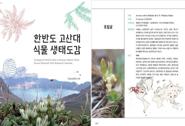 [세종=뉴시스] 설악산·지리산·한라산 등 한반도 고산지대에 서식하는 식물 목록을 체계화하고 생태적 특징을 정리한 국내 첫 '한반도 고산대 식물 생태도감'이 발간됐다. (사진=국립공원공단 제공) 2026.05.22. photo@newsis.com *재판매 및 DB 금지