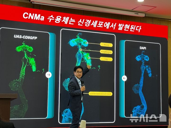 "고기 먹고 싶다" 이유 있었네…장이 뇌에 보낸 신호였다