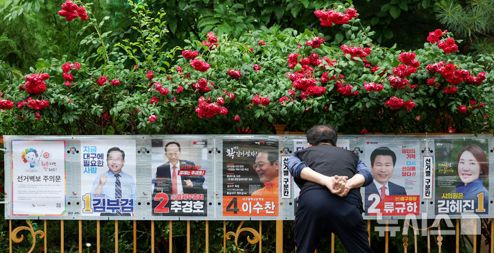 [대구=뉴시스] 이무열 기자 = 제9회 전국동시지방선거 공식 선거운동 첫날인 21일 오전 대구 중구 남산동의 한 아파트 담장 철망에 활짝 핀 장미꽃 아래로 선거 벽보가 붙어 있다. 2026.05.21. lmy@newsis.com