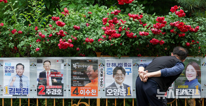 [대구=뉴시스] 이무열 기자 = 제9회 전국동시지방선거 공식 선거운동 첫날인 21일 오전 대구 중구 남산동의 한 아파트 담장 철망에 활짝 핀 장미꽃 아래로 선거 벽보가 붙어 있다. 2026.05.21. lmy@newsis.com