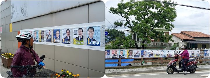 [담양=뉴시스] 송창헌 기자 = 24일 전남 담양군 봉산면 한 마트 앞에서 70대 유권자가 선거 벽보를 유심히 살펴보고 있다(왼쪽). 인근 또 다른 선거 벽보판 앞을 지나던 여성 유권자가 후보자들의 면면을 살펴보고 있다. 2026.05.24 goodcang@newsis.com *재판매 및 DB 금지