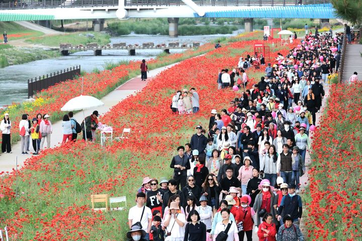 [괴산=뉴시스] 23일 충북 괴산군 동진천변 일대에서 열린 2026 괴산빨간맛페스티벌의 '빨간꽃길 괴산걷기대회' 참가자들이 길을 걷고 있다. (사진= 괴산군 제공) 2026.05.23. photo@newsis.com *재판매 및 DB 금지