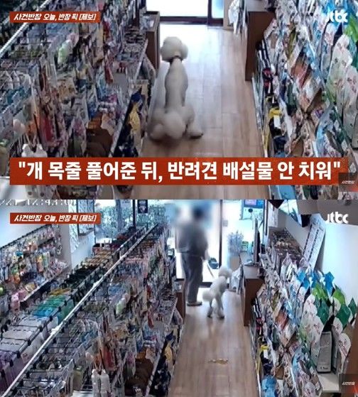 [서울=뉴시스] 한 매장에서 반려견이 바닥에 배설물을 누고 있으나 견주가 치우지 않고 현장을 떠나는 모습이 CCTV에 포착됐다. (사진 출처=유튜브 채널 '사건반장' 캡처)