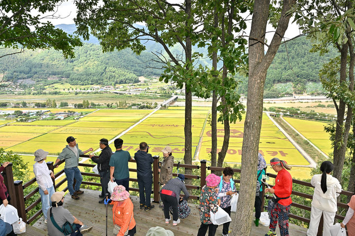 북평 오음봉 산림욕장 전망대 전경.(사진=정선군 제공) *재판매 및 DB 금지
