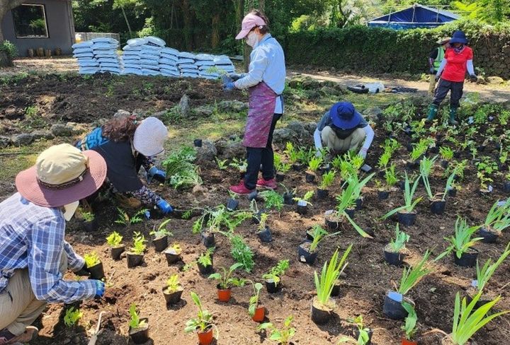 [제주=뉴시스] 제주 도민 참여 마을정원 만들기 사업 모습. (사진=제주도 제공) *재판매 및 DB 금지