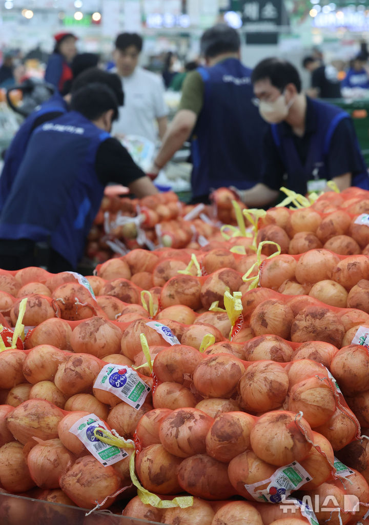 양파 공급과잉에 가격 22% 하락