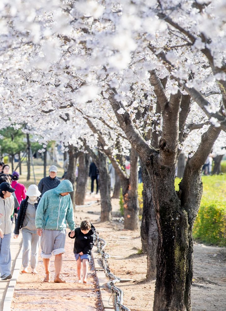 [구미=뉴시스] 지산샛강 맨발길. (사진=구미시 제공) 2026.05.26. photo@newsis.com *재판매 및 DB 금지