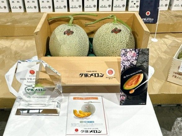 [서울=뉴시스] 일본 삿포로시 중앙도매시장의 올해 첫 경매에서 소개된 유바리 멜론. (사진=X(엑스) @sapporo_shijou 캡처) 2026.05.26. *재판매 및 DB 금지