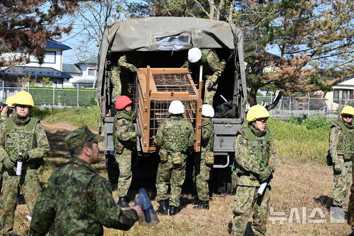 [아키타=AP/뉴시스] 일본 집권 자민당이 '3대 안보 문서'의 연내 개정을 앞두고 인공지능(AI)과 무인무기에 대응하는 방위체계 정비를 핵심 과제로 제시했다. 사진은 일본 자위대 대원들이 2025년 10월 30일(현지시간) 일본 북부 아키타현에 위치한 주둔지 내에서 군용 트럭에 실려 있던 곰 포획용 우리를 하차시키고 있는 모습. 2026.05.26.