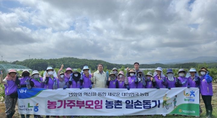 [강릉소식]북강릉농협·도 제2청사 직원, 일손돕기 봉사 등