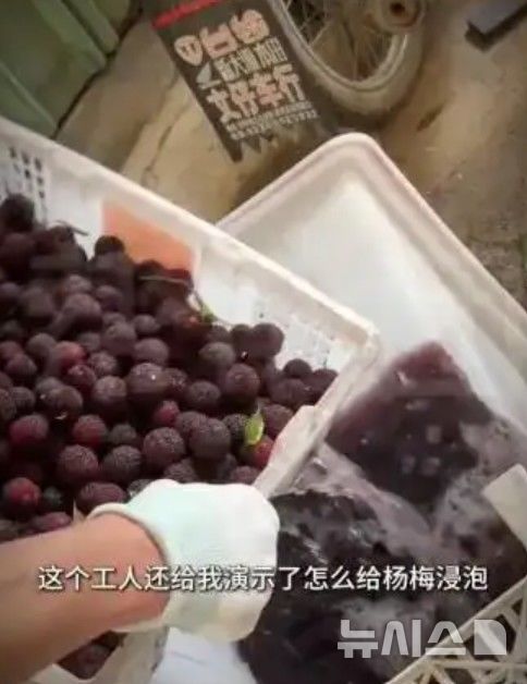 [서울=뉴시스]중국에서 불법 화학 첨가제를 사용한 양메이(楊梅·중국 매실)가 유통된 사실이 드러나 또다시 음식 위생 논란이 불거졌다. 양메이를 첨가제로 처리하는 모습. <사진출처: 웨이보> 2026.05.26