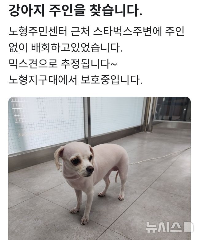 [제주=뉴시스] 제주서부경찰서 노형지구대 공찬호 순경이 22일 오후 중고거래 플랫폼 '당근마켓'에 올린 애완견 임시 보호 글. (사진=제주경찰청 제공) 2026.05.26. photo@newsis.com