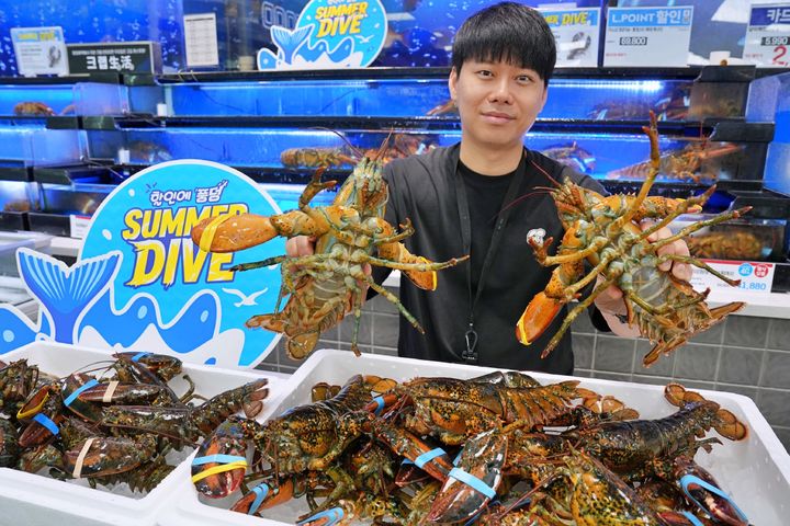 [서울=뉴시스] 롯데마트, 캐나다산 활랍스터 최대 50% 할인 (사진=롯데마트 제공) 2026.05.27. photo@newsis.com *재판매 및 DB 금지