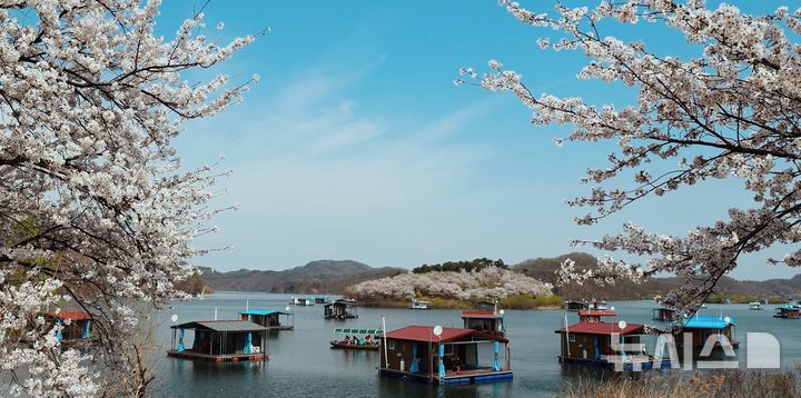 [진천=뉴시스] 2025년 진천군 SNS(사회관계망서비스) 영상 공모전 수상작 캡처. (사진=진천군 제공)