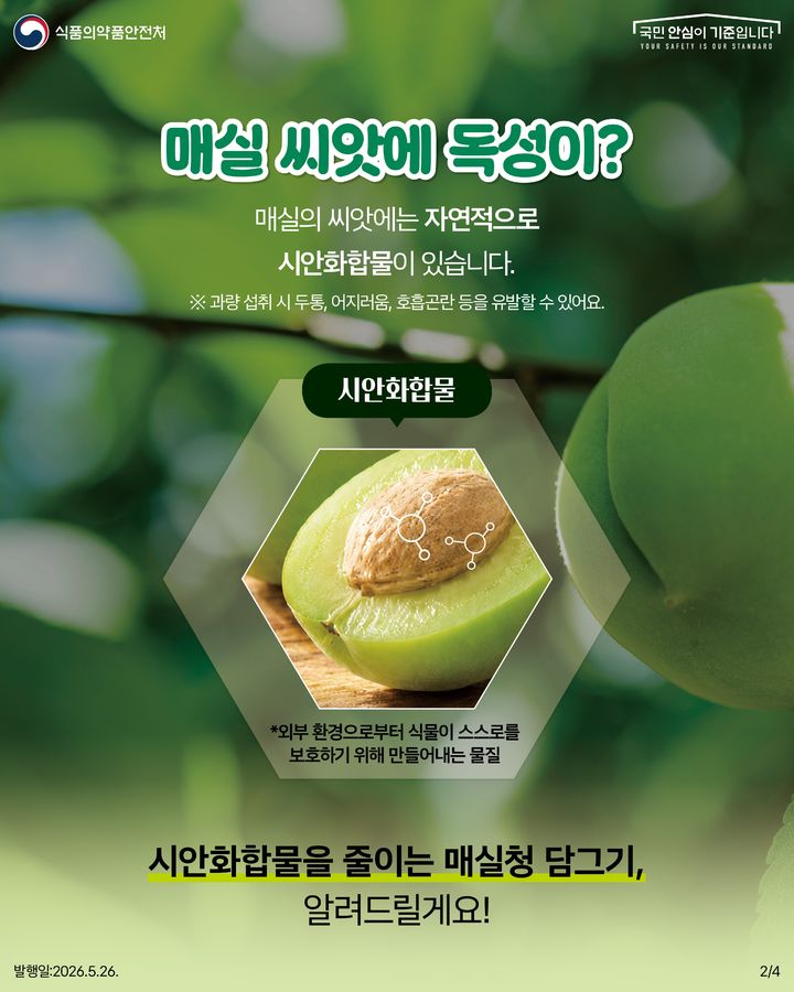 [서울=뉴시스] 27일 식품의약품안전처에 따르면 시안화합물은 매실, 살구, 사과, 복숭아 등의 씨앗에 자연적으로 존재한다. (사진=식약처 제공) 2026.05.27. photo@newsis.com *재판매 및 DB 금지