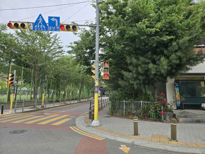 [용인=뉴시스[ 적색잔여시간표시기를 설치한 둔전제일초 앞 횡단보도(사진=용인시 제공) 2026. 05. 27. photo@newsis.com *재판매 및 DB 금지