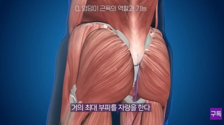 [서울=뉴시스] 엉덩이 근육을 키우면 만성 염증 예방과 더불어 무릎 관절 강화 효과가 있다는 전문가의 조언이 나왔다. (사진=유튜브 '암 찾는 의사 이원경' 캡처) *재판매 및 DB 금지