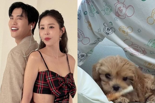 [서울=뉴시스] 그룹 '코요태' 멤버 신지가 새 가족을 소개했다. (사진=인스타그램 캡처) 2026.05.28. photo@newsis.com *재판매 및 DB 금지