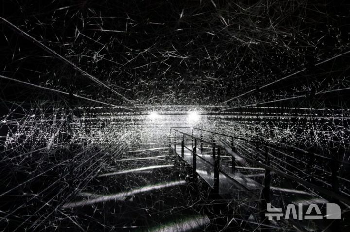 [부천=뉴시스] 제30회 부천국제판타스틱영화제 뉴미디어 프로그램 중 설치작품 '아날레마' (사진=부천국제판타스틱영화제 집행위원회 제공) 2026.05.28. photo@newsis.com