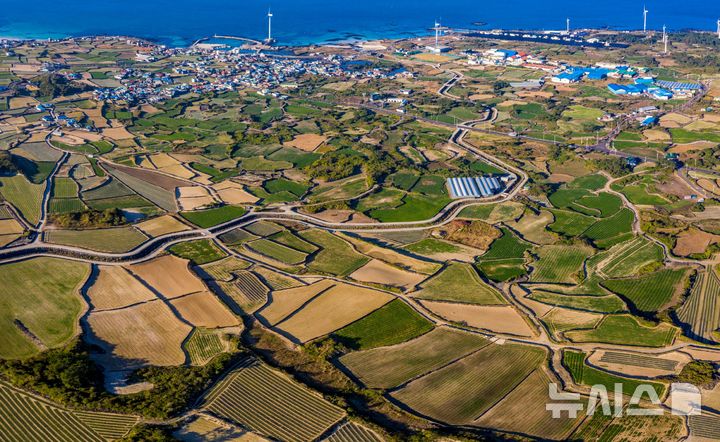 [제주=뉴시스] 제주의 농경지. (사진=뉴시스 DB) photo@newsis.com