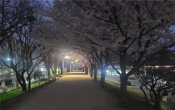 [대구=뉴시스] 대구 동구 금호강 맨발산책로에 설치된 안전 조명. (사진=대구 동구 제공) 2026.05.28. photo@newsis.com *재판매 및 DB 금지
