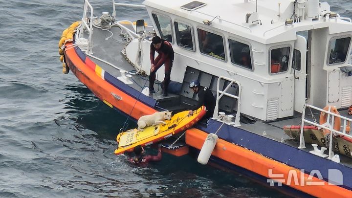 [제주=뉴시스] 27일 오전 제주 서귀포시 소정방폭포 인근 해상에서 추락한 반려견이 해경 구조대에 의해 구조되고 있다. (사진=서귀포해양경찰서 제공) 2026.05.28. photo@newsis.com