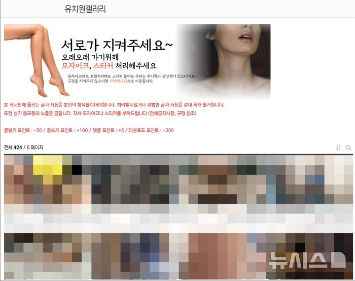 [서울=뉴시스] 불법 스와핑 사이트 '아너스클럽' 내 회원 등급별 게시판인 '유치원갤러리' 화면. 경찰은 운영진이 회원 활동 조건에 따라 등급을 부여하고, 집단 성행위 촬영물 등 음란물을 공유하도록 한 것으로 보고 있다. (사진=서울경찰청 제공) 2026.05.29. photo@newsis.com