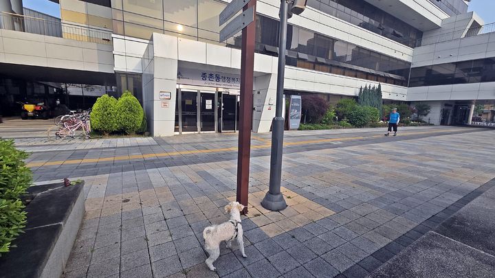[세종=뉴시스] 송승화 기자 = 29일 세종시 종촌동복합커뮤니티센터 종합체육관 사전투표소 앞에서 반려견이 주인을 기다리고 있다. 2026.05.29. ssong1007@newsis.com *재판매 및 DB 금지
