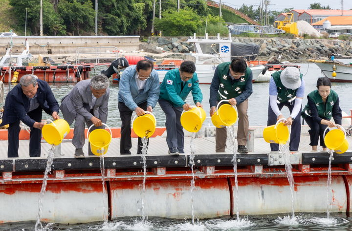[통영=뉴시스] 신정철 기자= 경남 통영시는 지난 28일, 용남면 선촌마을에서 제31회 바다의 날 기념행사를 갖고 치어 방류와 해안변 정화 활동을 전개했다.사진은 5㎝ 크기의 감성돔 치어 2000마리 방류 모습.(사진=통영시 제공).2026.05.29. photo@newsis.com *재판매 및 DB 금지