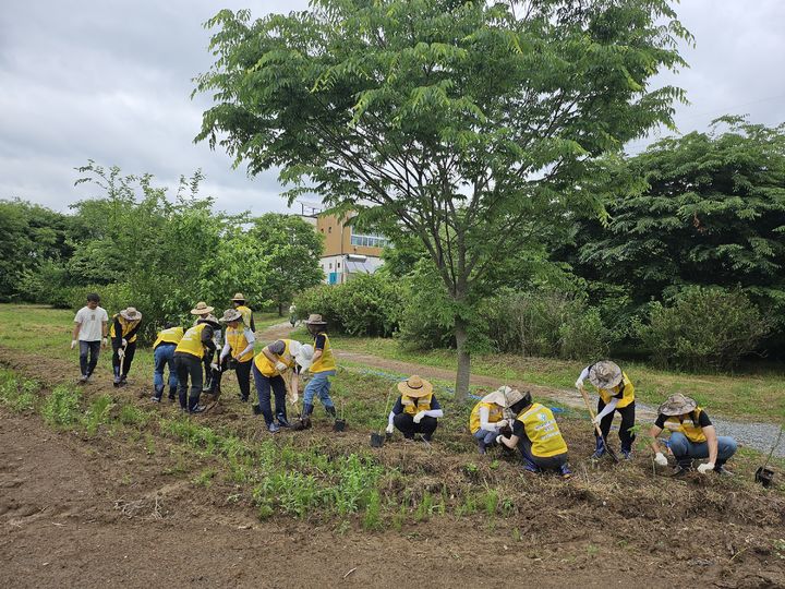 [세종=뉴시스]한국에너지기술평가원(KETEP)이 지난 27일 대전 미호동 에너지자립마을에서 '세계 꿀벌의 날'을 기념한 '윙윙 꿀벌정원 나무심기 봉사활동'을 추진했다고 29일 밝혔다.(사진=에기평 제공)&nbsp; *재판매 및 DB 금지