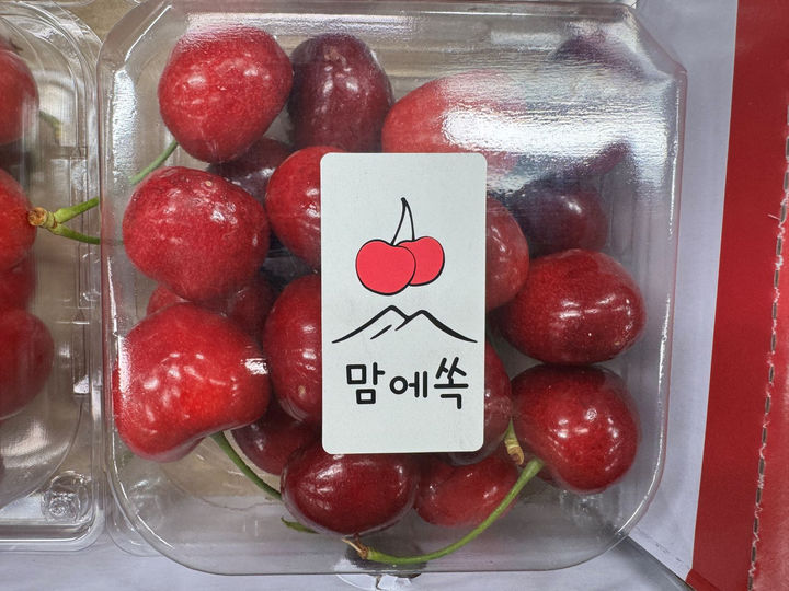 [곡성=뉴시스] 전남 곡성군 특산물 '체리' 본격 출하. (사진=곡성군청 제공). photo@newsis.com *재판매 및 DB 금지