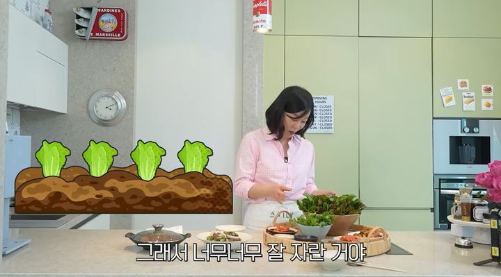[서울=뉴시스] 방송인 최화정(65)이 상추를 평소 즐겨 먹는다고 밝혔다. (사진='안녕하세요 최화정이에요' 유튜브 채널 캡처)