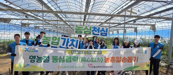 [울산=뉴시스] 지난 30일 청년농업인 정인철 씨 농장에서 농협중앙회 울산본부와 울산광역시자원봉사센터 대학생봉사단원들이 '동심협력(同心協力) 농촌일손 돕기'를 시행했다. (사진=울산농협 제공) 2026.05.31. photo@newsis.com *재판매 및 DB 금지