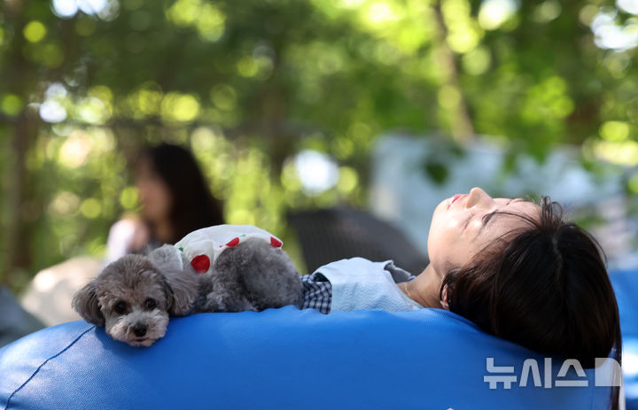[서울=뉴시스] 조성우 기자 = 31일 서울 성동구 서울숲에서 열린 유한킴벌리 제1회 '우리강산 푸르게 푸르게 숲속 개꿀잠대회'에서 참가자가 반려견과 함께 잠을 청하고 있다. 2026.05.31. xconfind@newsis.com