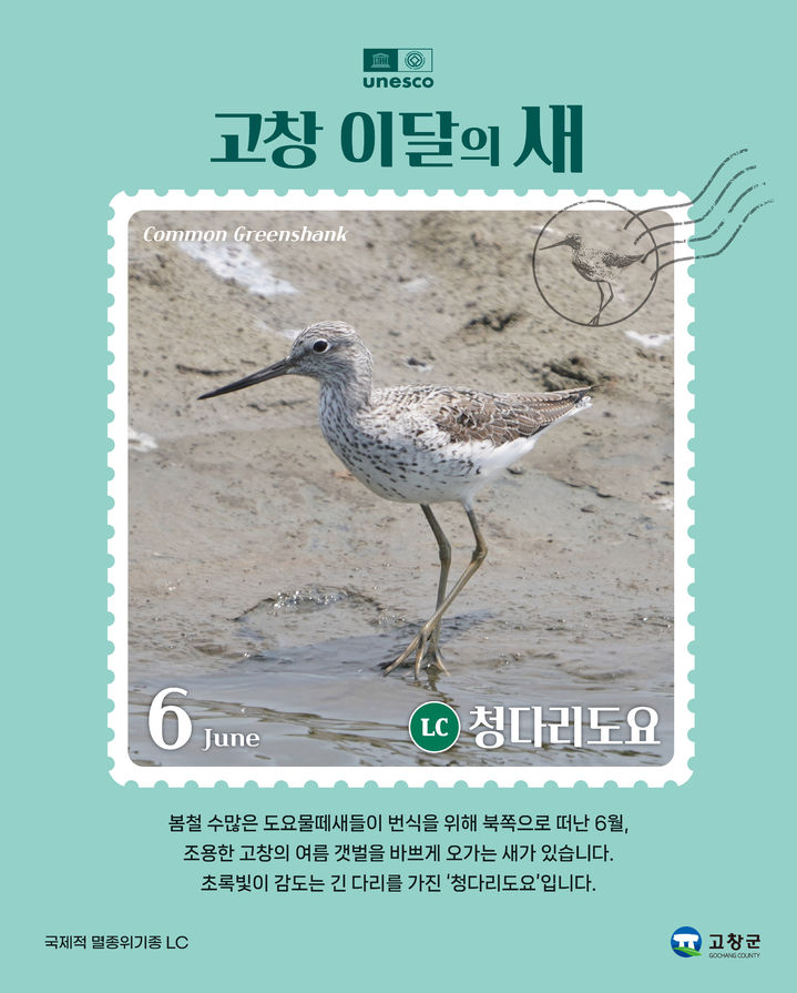  *재판매 및 DB 금지