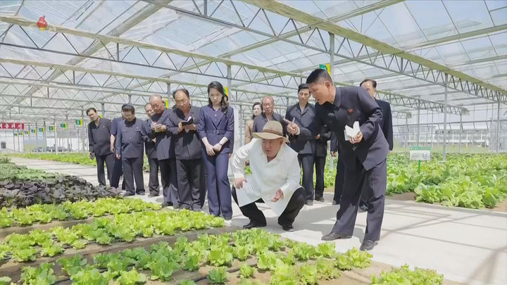 [서울=뉴시스] 북한 조선중앙 TV는 김정은 국무위원장이 지난달 31일 신의주온실종합농장을 현지 지도 했다고 1일 보도했다. 이 자리에는 딸 김주애도 동행했다. (사진=조선중앙TV 캡처) 2026.06.01. photo@newsis.com *재판매 및 DB 금지