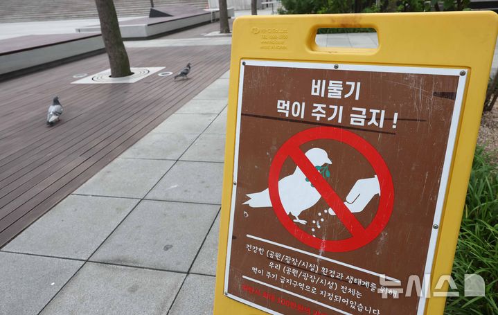 [서울=뉴시스] 김명년 기자 = 1일 오후 서울 종로구 광화문 광장에서 비둘기 먹이주기 금지 안내판이 놓여 있다. 서울시는 이날부터 한 달간 집비둘기 먹이주기 금지구역 단속을 강화하고 위반 행위에 과태료를 부과한다. 현재 시가 지정·운영 중인 집비둘기 먹이주기 금지구역은 주요 공원과 광장, 한강공원 11개 지구 등 38개소다. 2026.06.01. kmn@newsis.com