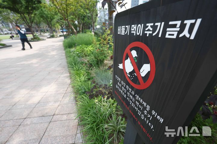 [서울=뉴시스] 김명년 기자 = 1일 오후 서울 중구 서울광장에 비둘기 먹이주기 금지 안내판이 놓여있다. 서울시는 이날부터 한 달간 집비둘기 먹이주기 금지구역 단속을 강화하고 위반 행위에 과태료를 부과한다. 현재 시가 지정·운영 중인 집비둘기 먹이주기 금지구역은 주요 공원과 광장, 한강공원 11개 지구 등 38개소다. 2026.06.01. kmn@newsis.com