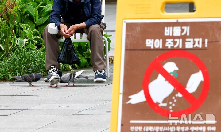 [서울=뉴시스] 김명년 기자 = 1일 오후 서울 종로구 광화문 광장에서 한 시민이 비둘기에게 먹이를 주고 있다. 서울시는 이날부터 한 달간 집비둘기 먹이주기 금지구역 단속을 강화하고 위반 행위에 과태료를 부과한다. 현재 시가 지정·운영 중인 집비둘기 먹이주기 금지구역은 주요 공원과 광장, 한강공원 11개 지구 등 38개소다. 2026.06.01. kmn@newsis.com