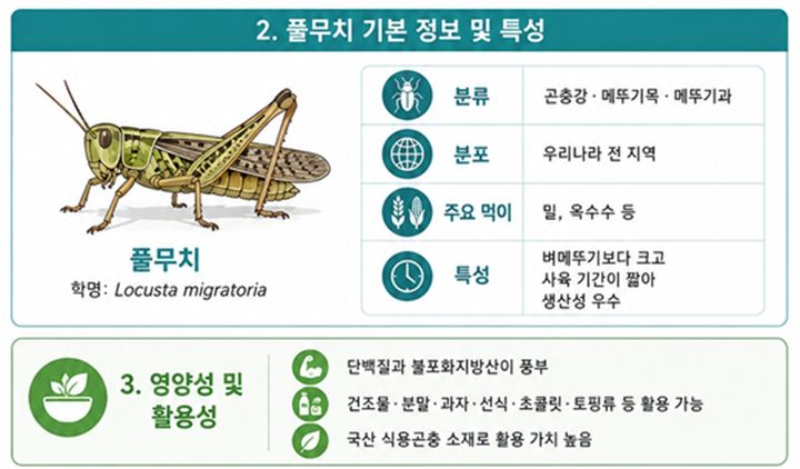[서울=뉴시스] 식품의약품안전처와 농촌진흥청은 식용곤충인 메뚜기과 '풀무치'를 한시적 식품원료에서 일반식품 원료로 전환해 '식품의 기준 및 규격'에 등재했다고 2일 밝혔다. (사진=식약처 제공) 2026.06.02. photo@newsis.com *재판매 및 DB 금지