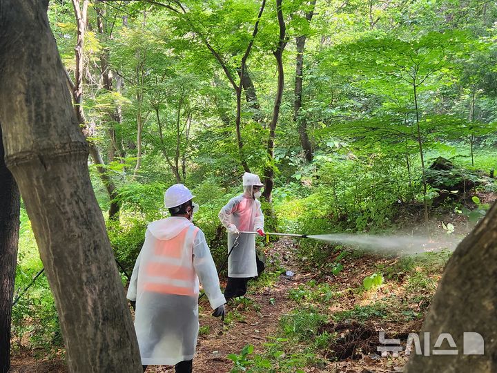 부천시, 성주산 일대 러브버그 집중 방제 실시