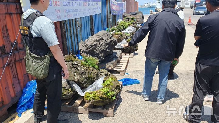 [제주=뉴시스] 5월26일 오후 제주항에서 자연석 등 석재 불법 반출 60대가 당국에 적발됐다. (사진=제주도자치경찰단 제공) 2026.06.02. photo@newsis.com