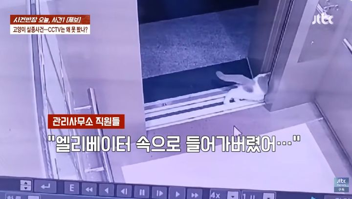 [서울=뉴시스]아파트 엘리베이트 틈으로 들어가는 고양이 모습이 폐쇄회로(CC)TV에 포착됐다.(사진출처: JTBC 사건반장 캡처)2026.06.03.