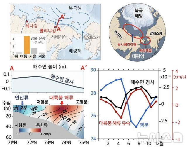 [서울=뉴시스] 북극 동시베리아해와 태평양 인접 해역의 해류 모식도(위)와 동시베리아해 연안 단면(A-A’)에서의 해수면 높이, 염분, 해류 등을 비교한 그래프(아래). (자료=극지연구소 제공)