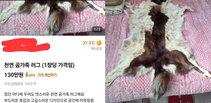 [서울=뉴시스] 3일 소셜미디어(SNS)에는 '천연 곰 가죽 러그'를 판매한다는 중고 거래 플랫폼 글 내용이 공유됐다. 글을 접한 누리꾼들은 곰 가죽이 아닌 개 가죽으로 만든 것 같다는 의혹을 제기했다. (사진=X 캡처)