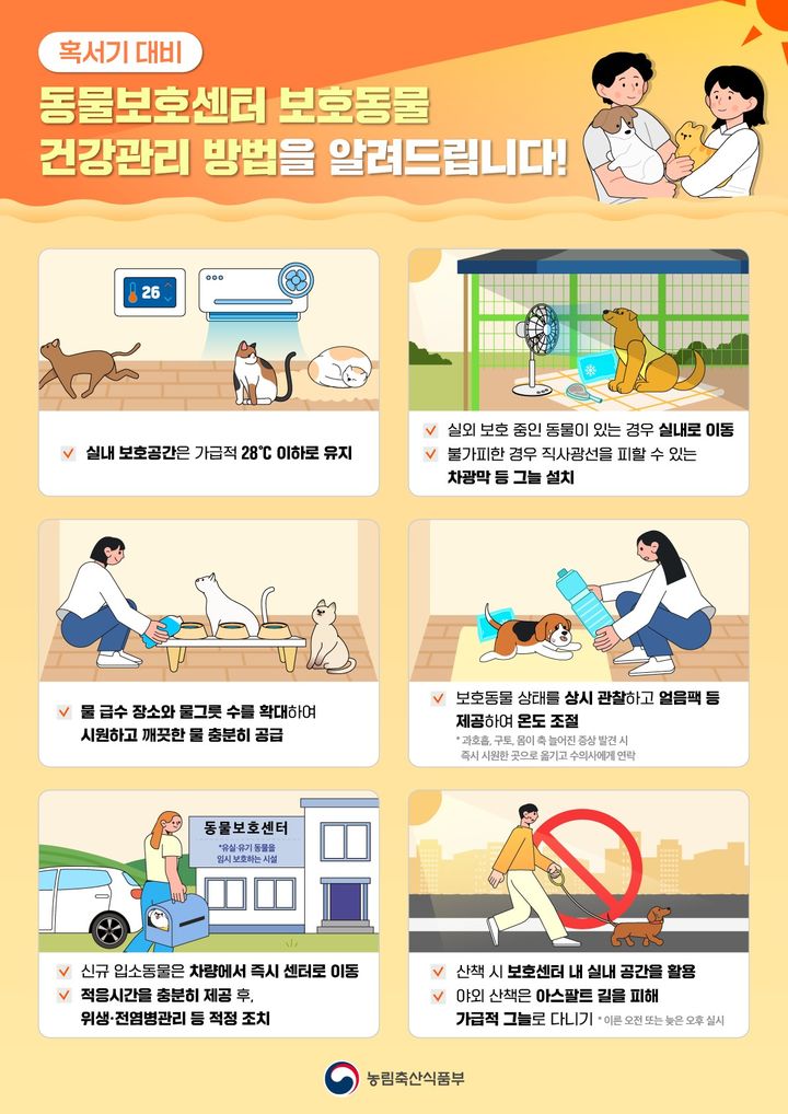 [세종=뉴시스] 농림축산식품부는 오는 8일부터 26일까지 전국 226개 동물보호센터를 대상으로 안전관리 현장점검을 실시한다고 4일 밝혔다. 사진은 관련 인포그래픽. (사진=농식품부 제공) 2026.06.04. photo@newsis.com *재판매 및 DB 금지