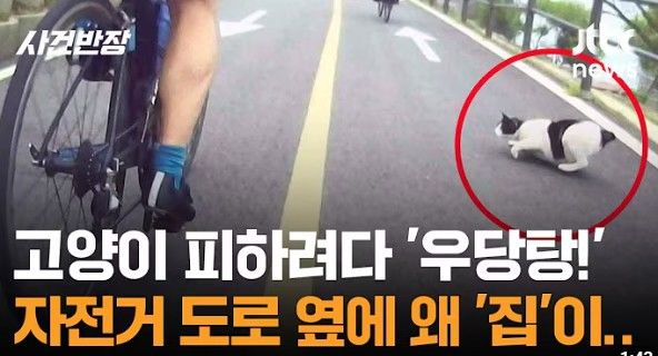 사진 JTBC 사건반장 유튜브 영상 캡처 *재판매 및 DB 금지